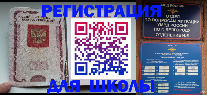 прописка гарантия в Мончегорске